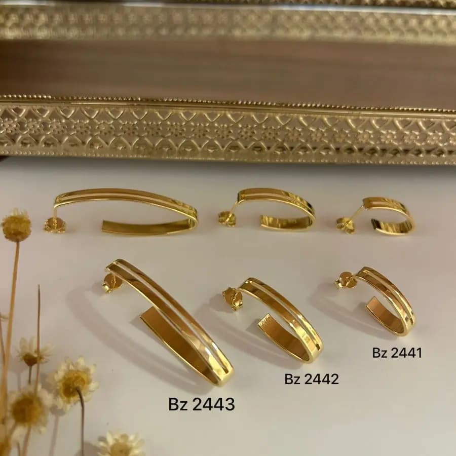 Argola Usinada BZ 2441 BZ 2442 BZ 2443