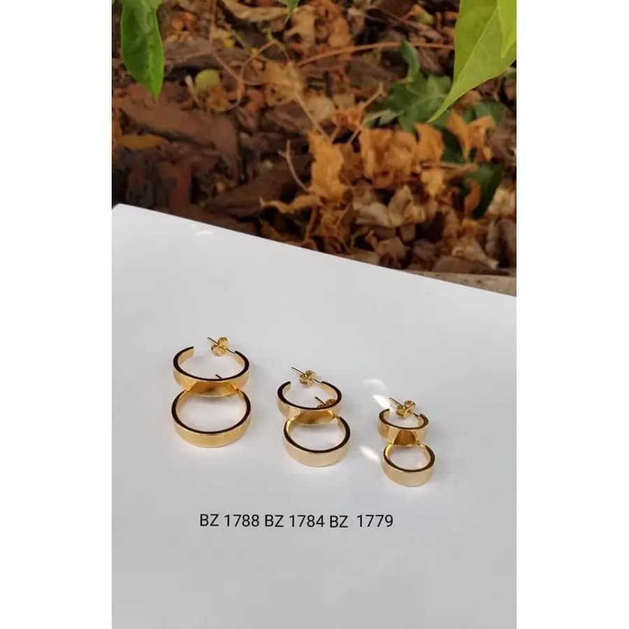 Argola Usinada BZ 1788 BZ 1784 BZ 1779