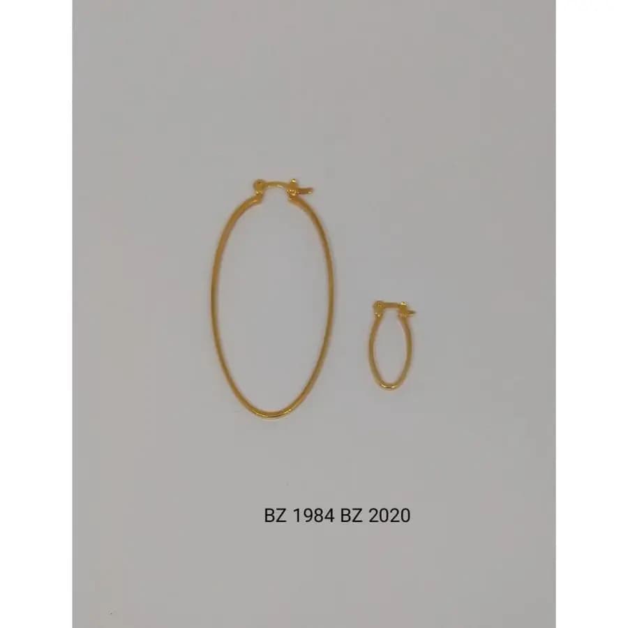 Argola Usinada BZ 2020 BZ 1984