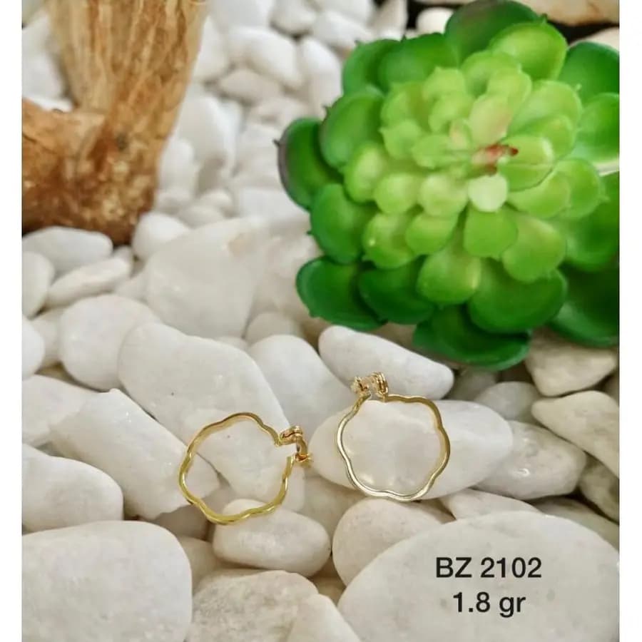 Argola Usinada BZ 2102