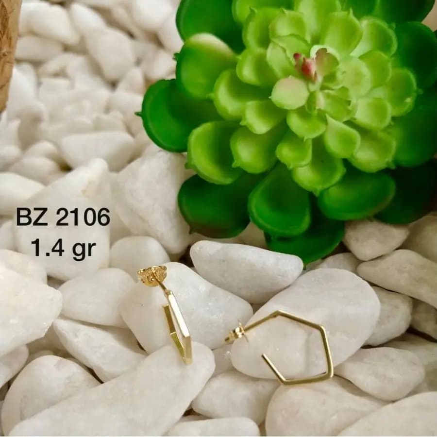 Argola Usinada BZ 2106