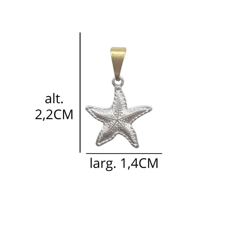 Pingente Estrela Do Mar (Baixa Fusão)