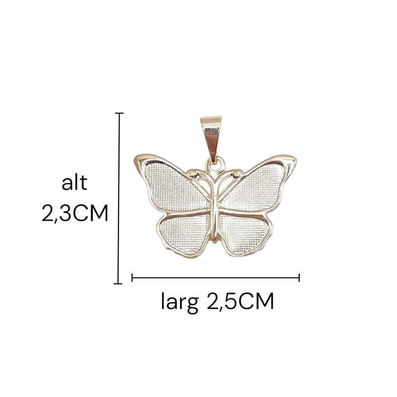 Pl. Borboleta