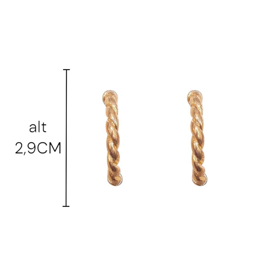 Brinco Ear Hook Aro Torcido
