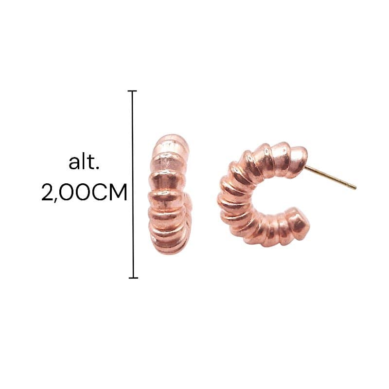 Brinco Argola Abs Baby Frisada