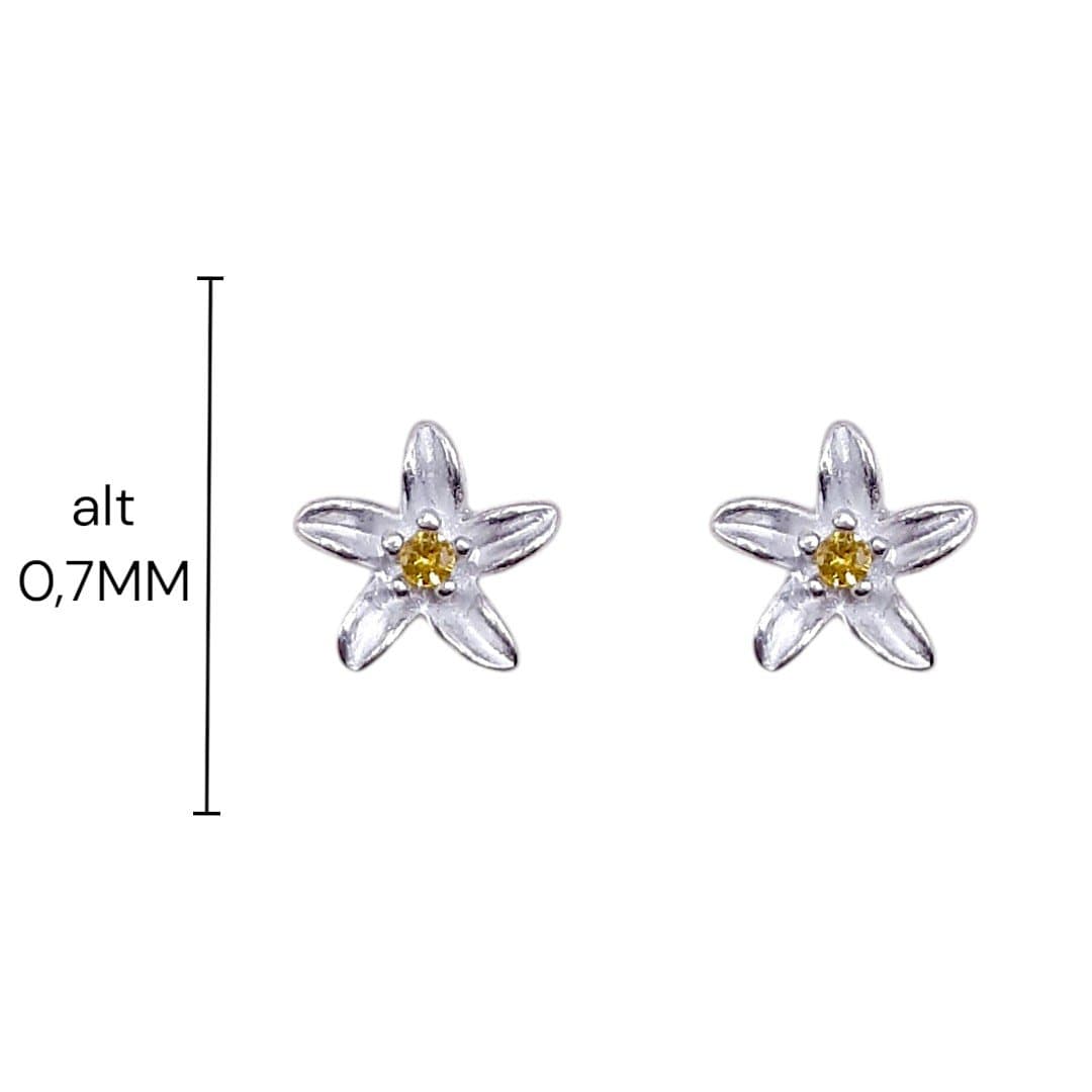 Brinco Flor Lirio Com 1 Pedra