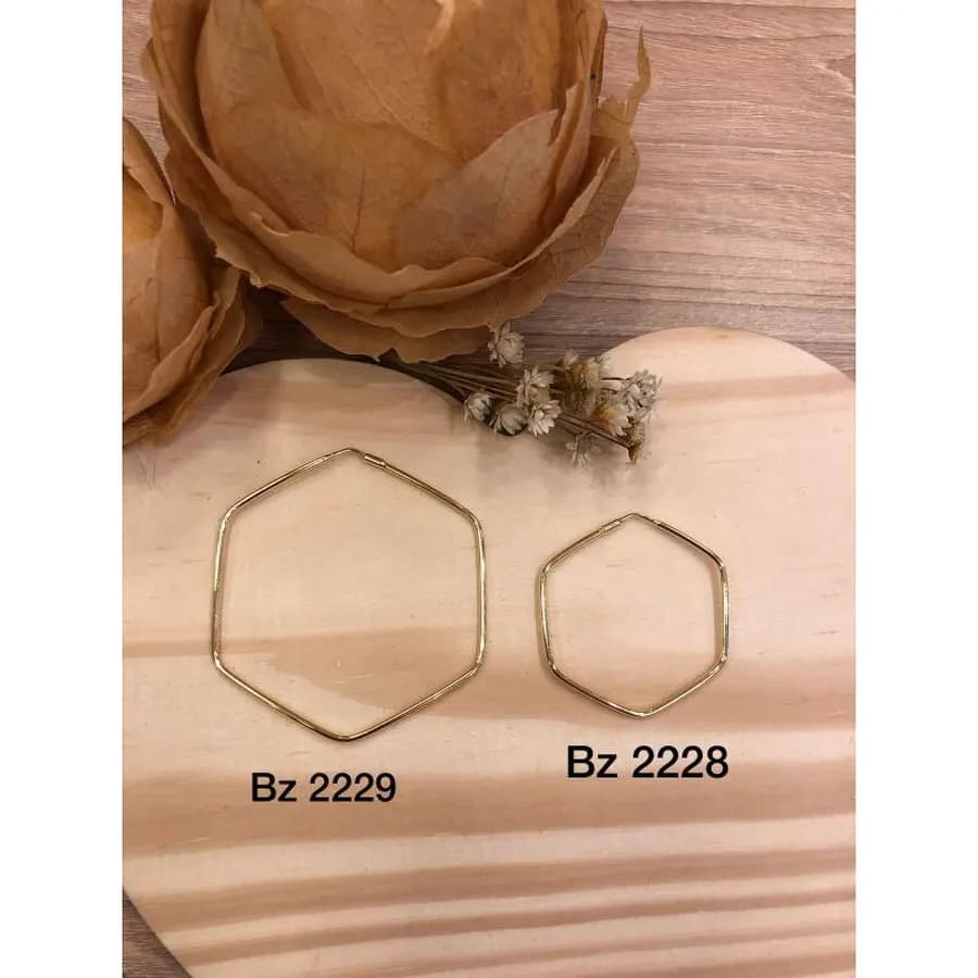 Argola Fio BZ 2229 BZ 2228