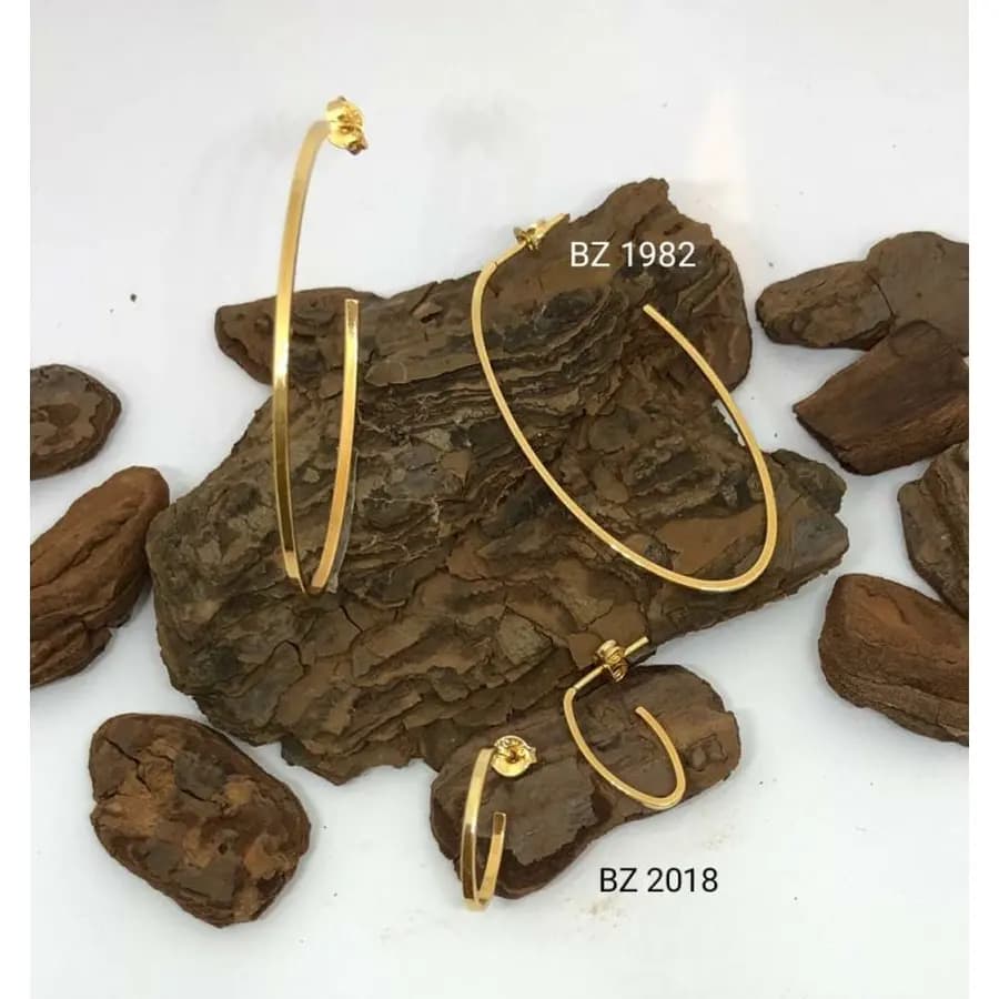 Argola Usinada BZ 1982 BZ 2018