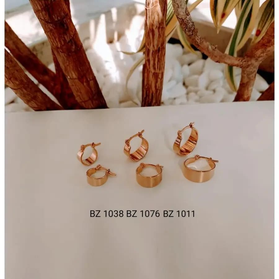 Argola Usinada BZ 1038 BZ 1076 BZ 1011