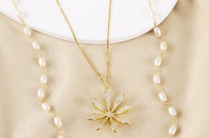 Libelula fabricante de semijoias em brutos