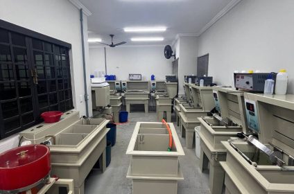 galvanica com experiencia