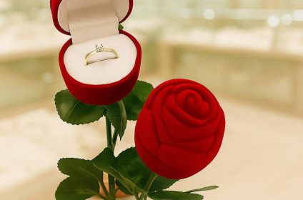 sl embalagens joias limeira