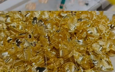 melhores galvanicas de limeira