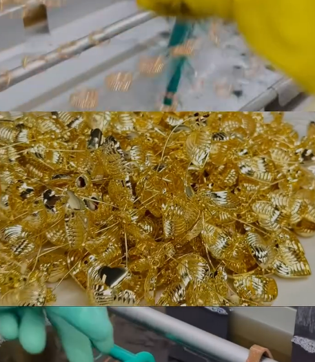 melhores galvanicas de limeira