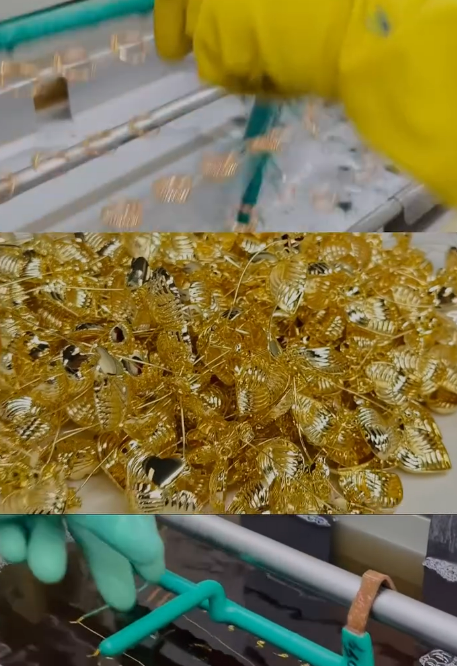 melhores galvanicas de limeira